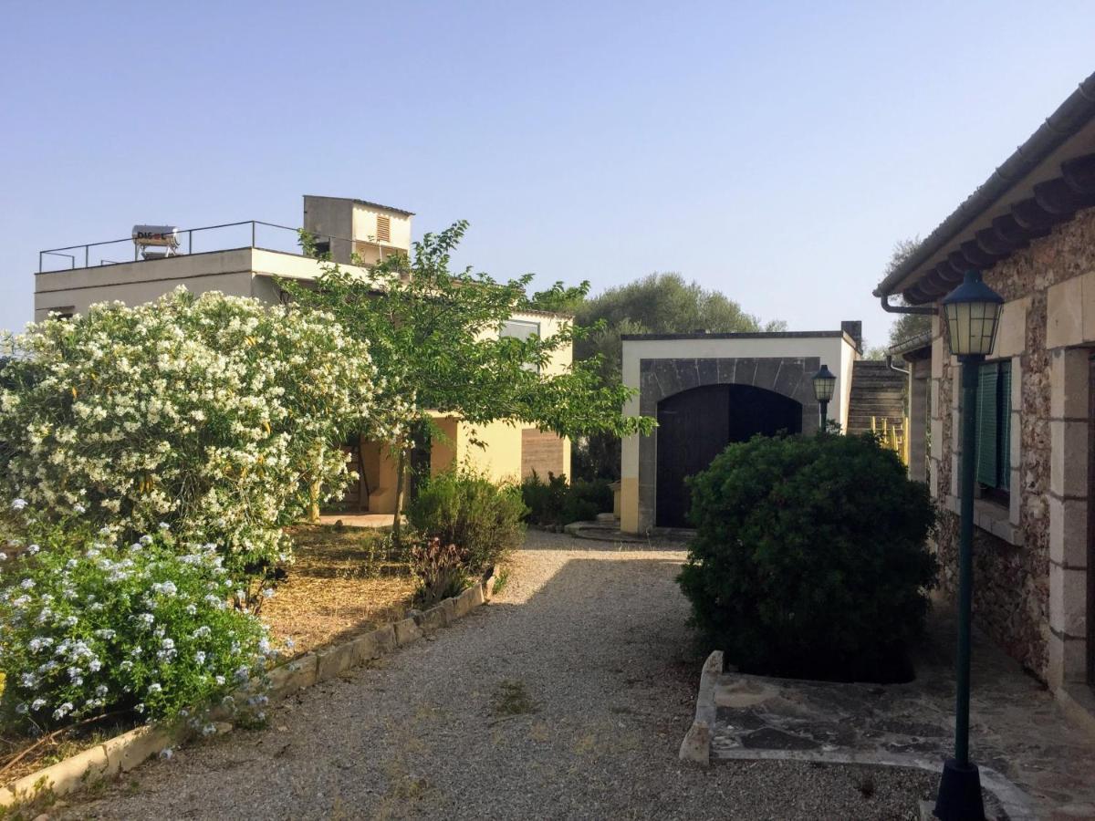 Finca Las Tortugas كامبوس المظهر الخارجي الصورة